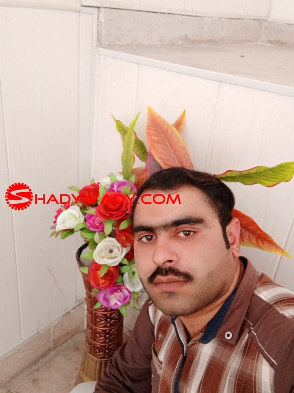 Punjabi Mughal male looking for second wife